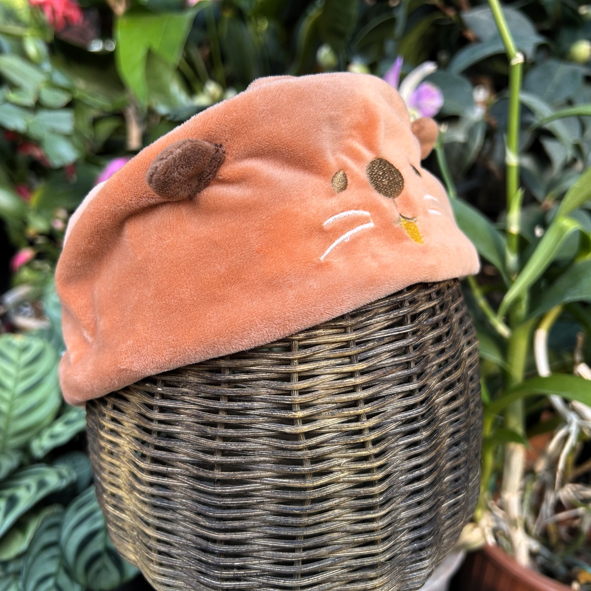 アニマルヘアバンド アメリカビーバー | 神戸どうぶつ王国NS